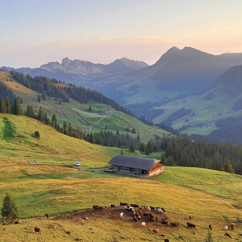 Unterstützen statt Ferien machen